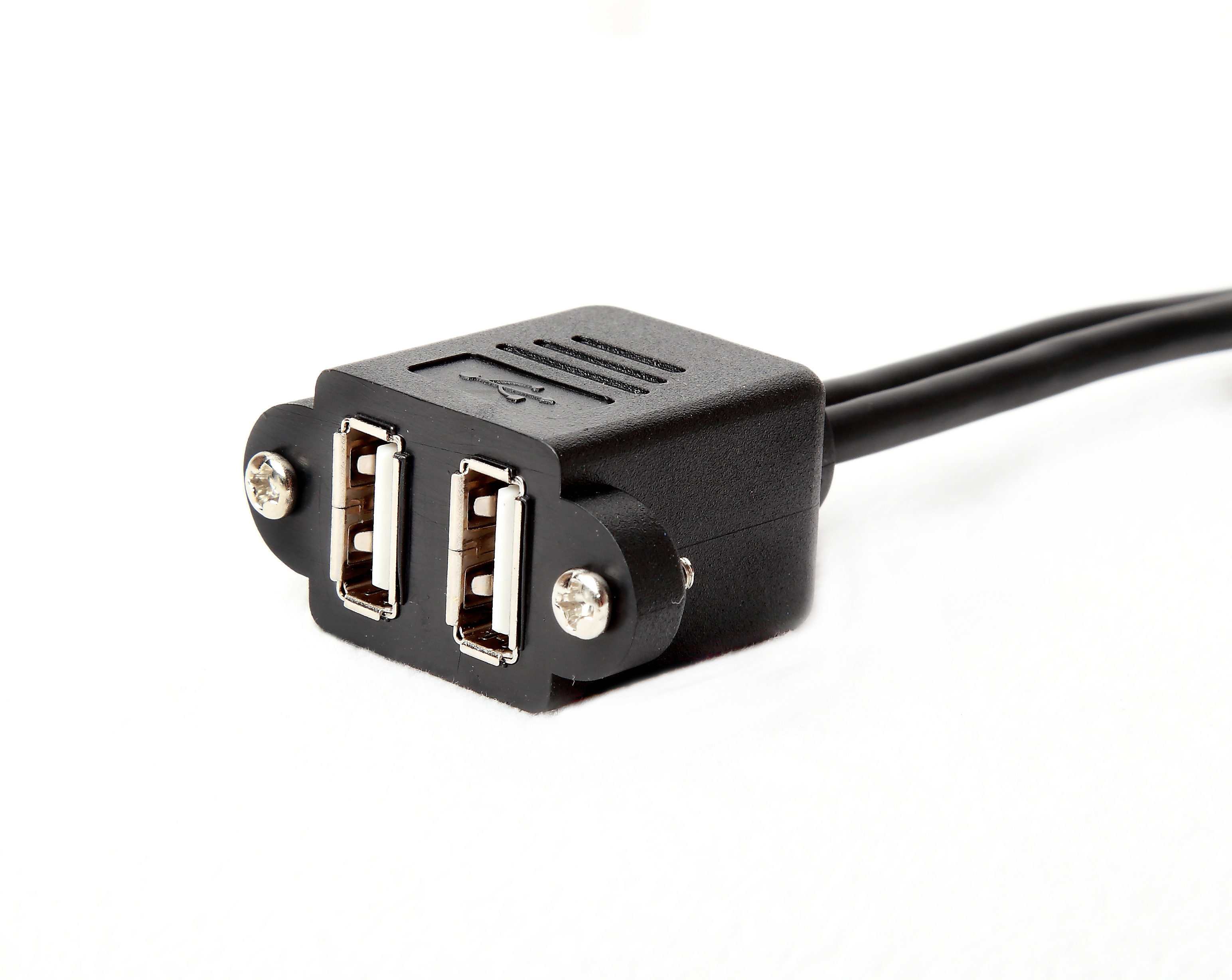 DUAL USB A FEMALE PORT CABLE TO 10 POSITION 100 SOCKET