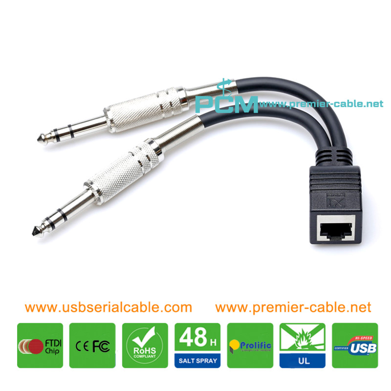 Dual 1/4 TRS to RJ45 Axia Adapter